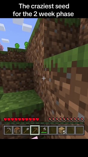 Best Minecraft Seed for the 2 Week Phase