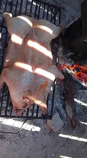 Así se hace un LECHON CRIOLLO en el pueblo🔥🐖#asado #cocinasrgentina