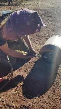 Hillbilly Regen😂 Maxxforce DT!! #navastar #international #regen #dpf #egr #ce3000 #boatanchor