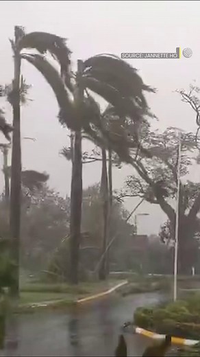 24K views · 167 reactions | Real or fake? During Hurricane Melissa, fake images and videos spread widely on social media, causing confusion and raising questions about what’s real. Officials are urging people to stick to verified sources for accurate updates. The Weather Network's Kim MacDonald has more details *and* real updates. | The Weather Network | Facebook