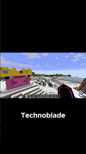 SB737's Heartfelt Tribute to Technoblade!