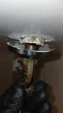 how to replace fire sprinkler