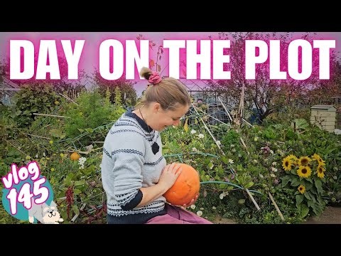 Ep145: Getting Stuck In! | October on the Allotment
