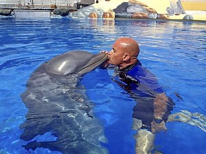 Inside shocking dolphin abuse scandal which saw famous trainer kill himself