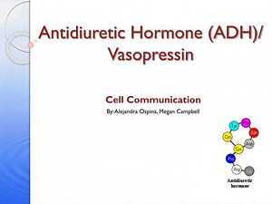 Antidiuretic Hormone (ADH)/ Vasopressin - SlideServe