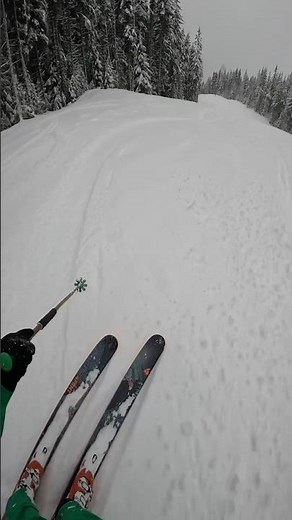 Storm Day Skiing in Revelstoke BC | Fresh Snow, Groomers & Powder Turns
