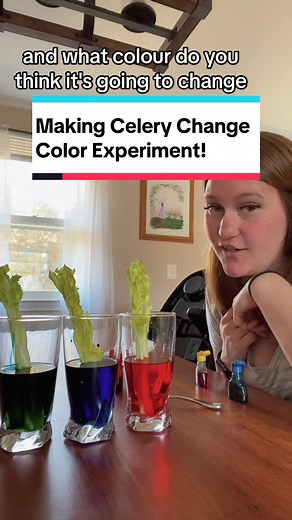 Easy at home science experiment! #science #scienceathome #coolscience #lab #scienceteacher #scienceexperiment