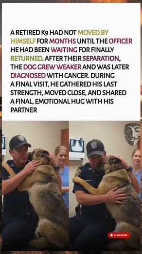 Terminally Ill Retired K9 Gathers Last Strength To Hug His Partner One Final Time 🥺💔