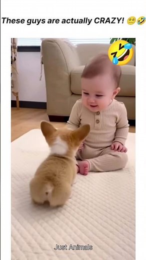 Cute And Funny Animals Videos 2026 - You Can't Miss 🐾