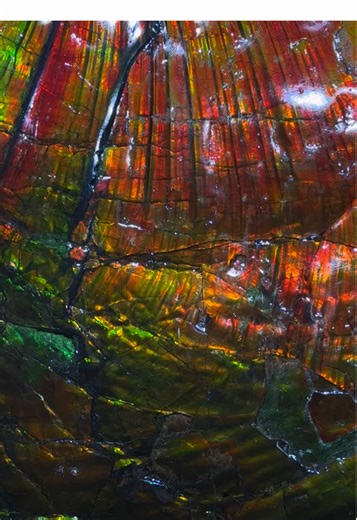 Exploring Textures at LA's Gem and Mineral Exhibit