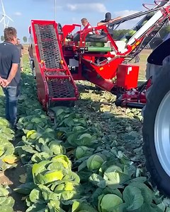 77K views · 439 reactions | It’s harvesting time! It’s harvesting time! | DIY Panda | Facebook