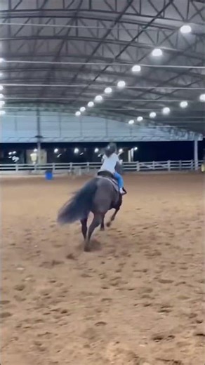 Can't Even Trot! Horse Riding Fails #horseriding #funnyhorses