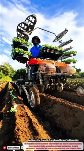 Best Innovative Vegetable Transplanter Machine Tool Innovation