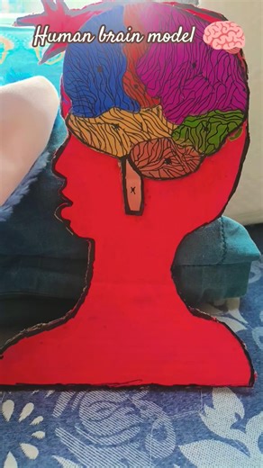 #human brain model#from cardboard #DIY🧠🧿😊🫶🏼