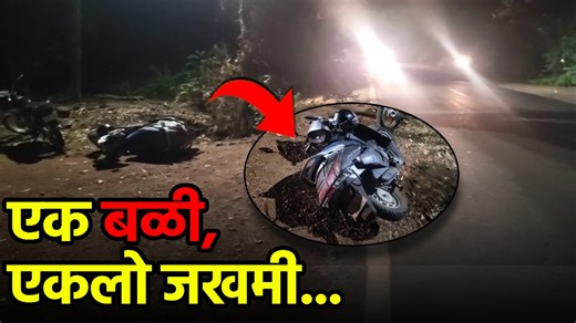 2.7K views · 44 reactions | Canacona Horror: Stray Cows Cause Fatal Accident | Govt Still Silent || GOA365 | Goa365 TV | Facebook