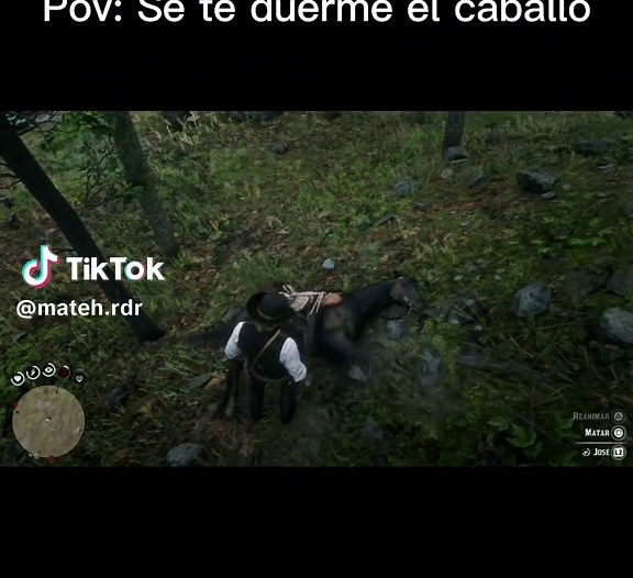 Arthur Morgan Horse Memes in Red Dead Redemption 2