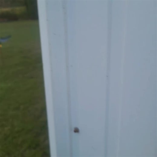 Ultimate Guide to Duck Hunting in the USA