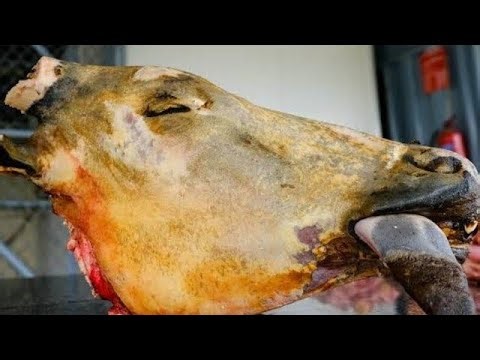 Yiga Okukola Enva Zomutwe Gwente | Preparing African Cow's Head Soup | Cow Head Stew Recipe