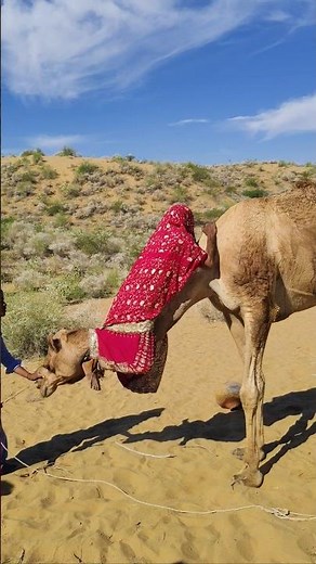 Back up Lady getting ready for battle