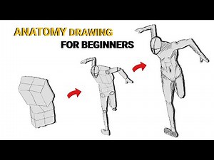 Basic Anatomy Drawing For Beginners Step-By-Step || Anatomy study
