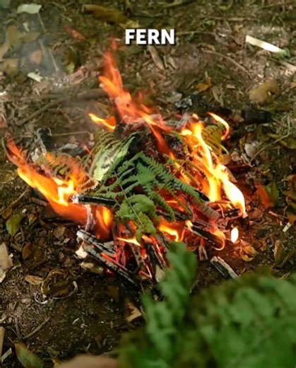 We made a short survival guide handbook for you! | 5-Minute Crafts Teens