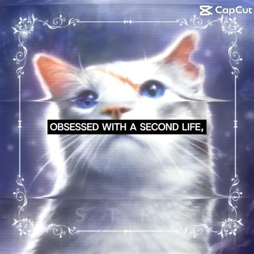 IVYPOOL X HAWKFROST BABY ‪@Aspire8g4realz‬ #warriorcats #warriors #warriors #cat