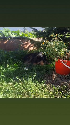 Fejer Zoltan on Reels