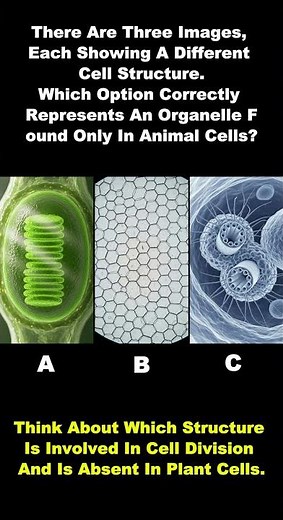 Which Organelle Exists Only in Animal Cells? – Quick Biology Challenge!
