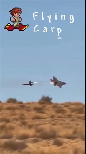 A very good reference that you can also see in Terraria 🤣 #terraria