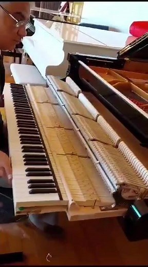 Fazioli F212 Grand Piyano ilk açılış... #piano #piyano #pianoforte #grandpiano #pianoforte