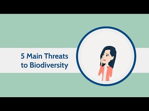 5 Main Threats to Biodiversity