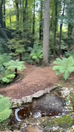 63K views · 9.3K reactions | Do you all think it could be a Cat Sith? ‍⬛️ Video by Gabesco | Fairies, Myths, and Magic | Facebook