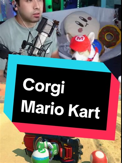 Corgi Mario Kart — Mario Kart but my corgi controls the items