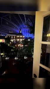 We spent the night at Opryland last night. We enjoyed the decor, Soundwaves Waterpark, a balcony view of the Delta, dinner and more! It’s a must do during the Christmas season! Jax had a ball! 10/10 #Opryland #Christmas #staycation 📍 Gaylord Opryland Resort & Convention Center 🎶 Winter Wonderland by JD Shelburne | JD Shelburne