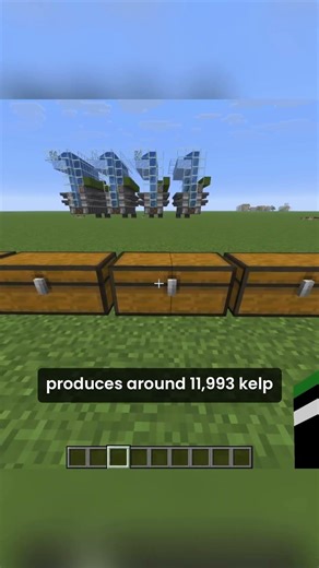 The New BEST kelp farm on the Donut SMP!!!!! #minecraft #donutsmp #gaming