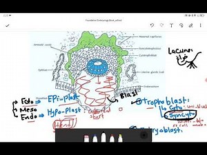 Second week development