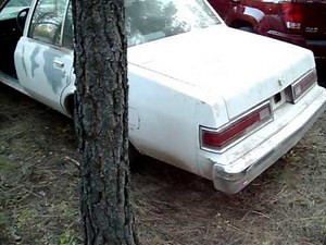 1989 Dodge Diplomat ex-cop car. Pumping the gas and revving the crap out of it, was an old beater.