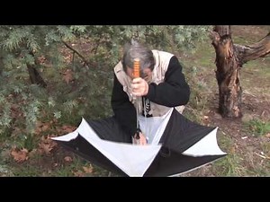 Catching insects using an umbrella and a pooter