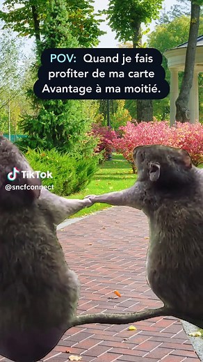 Carte Avantage Adulte : Économies sur les Voyages
