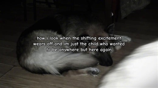 Understanding Reality Shifting and Its Effects