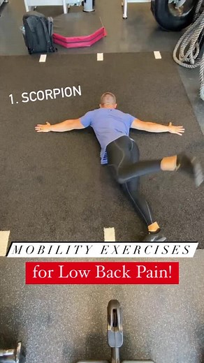 3 Mobility Exercises for Low Back Pain