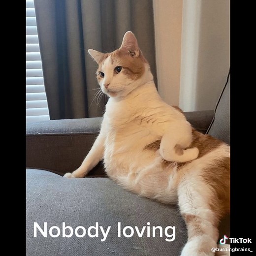 burningbrain on TikTok