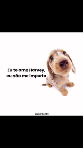 Harvey by Alex G: A Musical Journey