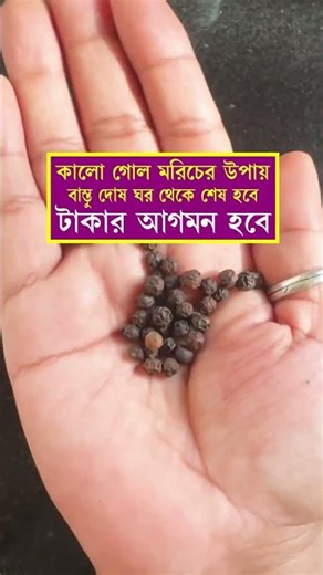 The way to get money is to use black pepper..|#ytshortsvideo #facts #viralshorts #ytstudioes
