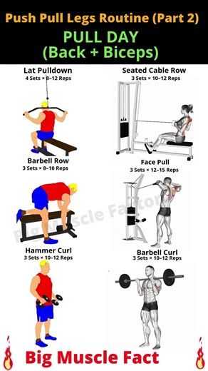 Best Pull Day Workout 🔥 Back & Biceps Routine | Push Pull Leg Workout | #Shorts #pullworkout