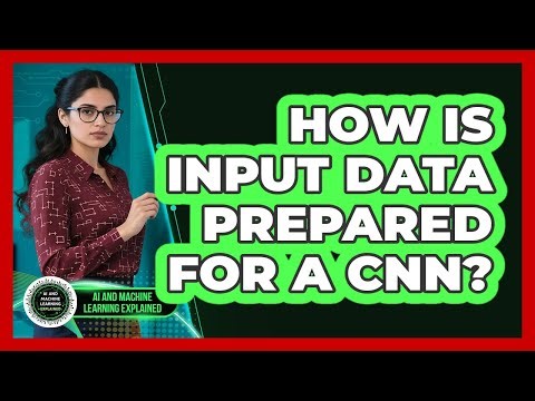 How Is Input Data Prepared For A CNN?