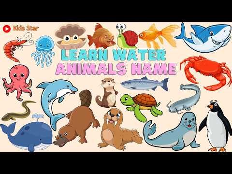 LEARNING THE NAMES OF WATER ANIMALS IN INDONESIAN - ENGLISH | LEARNING WATER ANIMALS NAMES