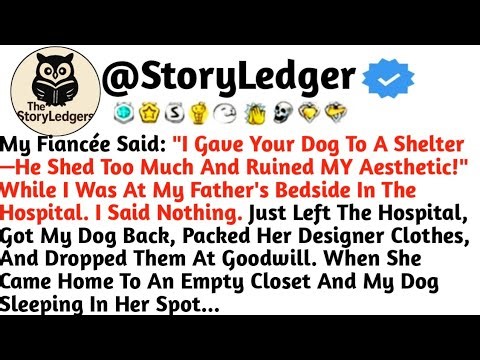 My Fiancée Said: "I Gave Your Dog To A Shelter—He Shed Too Much And Ruined MY Aesthetic!" While I