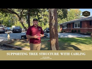 Supporting Tree Structure with Cabling