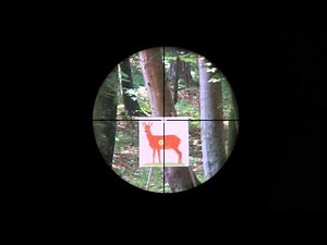 Vortex Diamondback HP 4-16x42 Reticle V-plex subtensions